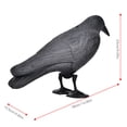 thumbnail image 2 of Unique Simulation Crow Hunting Bait Tool Holiday Decoration Desktop Decor Blackblack, 2 of 8