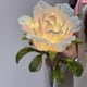 thumbnail image 5 of Lámpara con Forma de Flor, Linterna de Mano, Manualidades para Niños, Kit de Bricolaje, Linterna de Flores para Deseos, Decoración de Navidad y Año Nuevo., 5 of 7