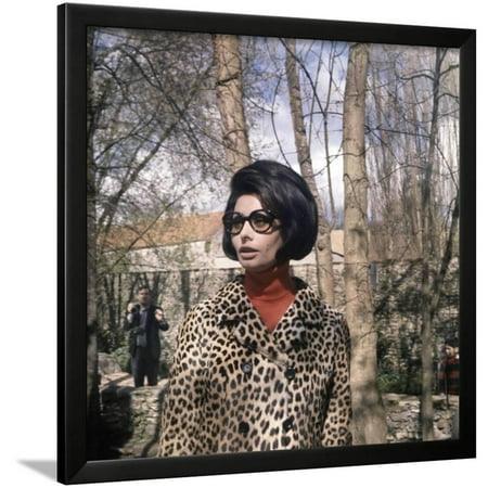 - Actress Sophia Loren, 1966 Framed Print Wall Art