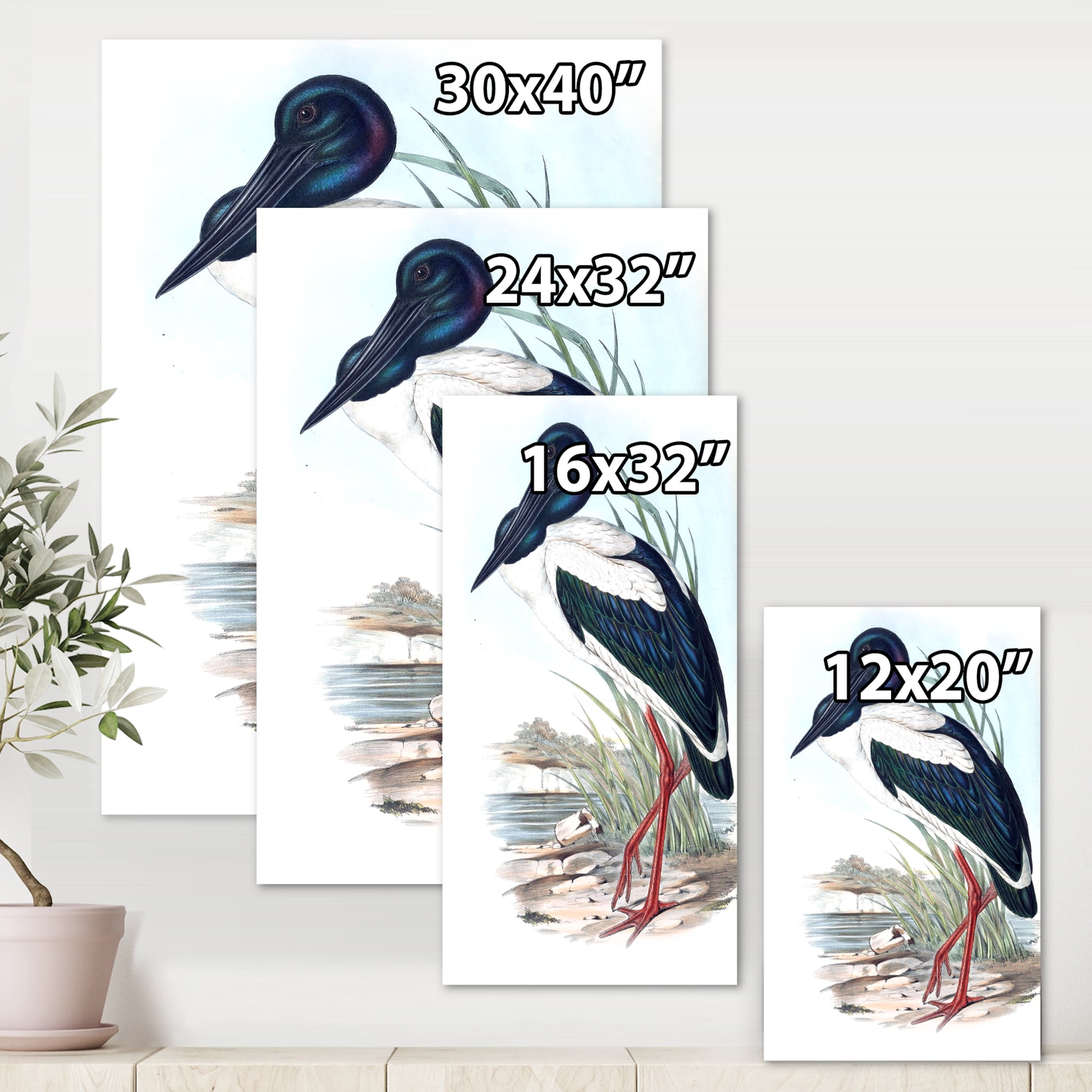 Designart ' Australian Vintage Birds I ' Traditional Canvas Wall Art Print