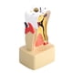 thumbnail image 5 of Mascarilla comprimida, paquete de 50 unidades, hojas desechables autocomprimidas, mascarilla, tecnología de vanguardia Jadeshay A, 5 of 8