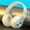 White WH, variant on ufehgfjh Wireless Bluetooth Headphones with Deep Bass - 5.1 Over-Ear Gaming Headset, 40mm Subwoofer, Foldable Design, 110H Standby for PC/Mobile/Sports