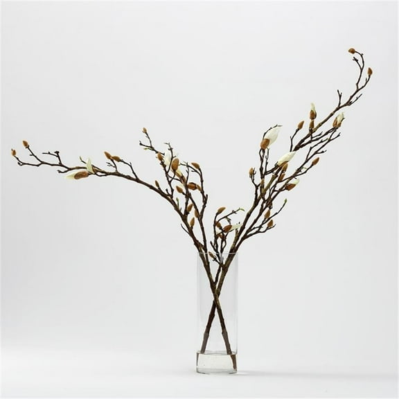Pemberly Row Contemporary Budding White Magnolia Stems in Cylian Vase