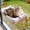White, variant on Foldable Cat Window Perch, Cloud-Soft Cat Bed with Wood Frame