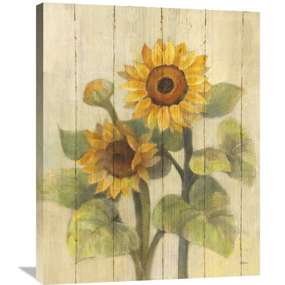 Global Gallery Albena Hristova 'Summer Sunflowers II on Barn Board' Canvas Wall Art