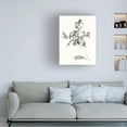 thumbnail image 3 of Wild Apple Portfolio 'Peony Blossoms Gray' Canvas Art, 3 of 3