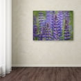 thumbnail image 3 of Trademark Fine Art 'Blue Lupine Flowers' Canvas Art by Cora Niele, 3 of 3