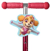 Paw Patrol Skye Flying Kick Scooter Badge Accessory. More fun than a scooter basket or scooter bell.