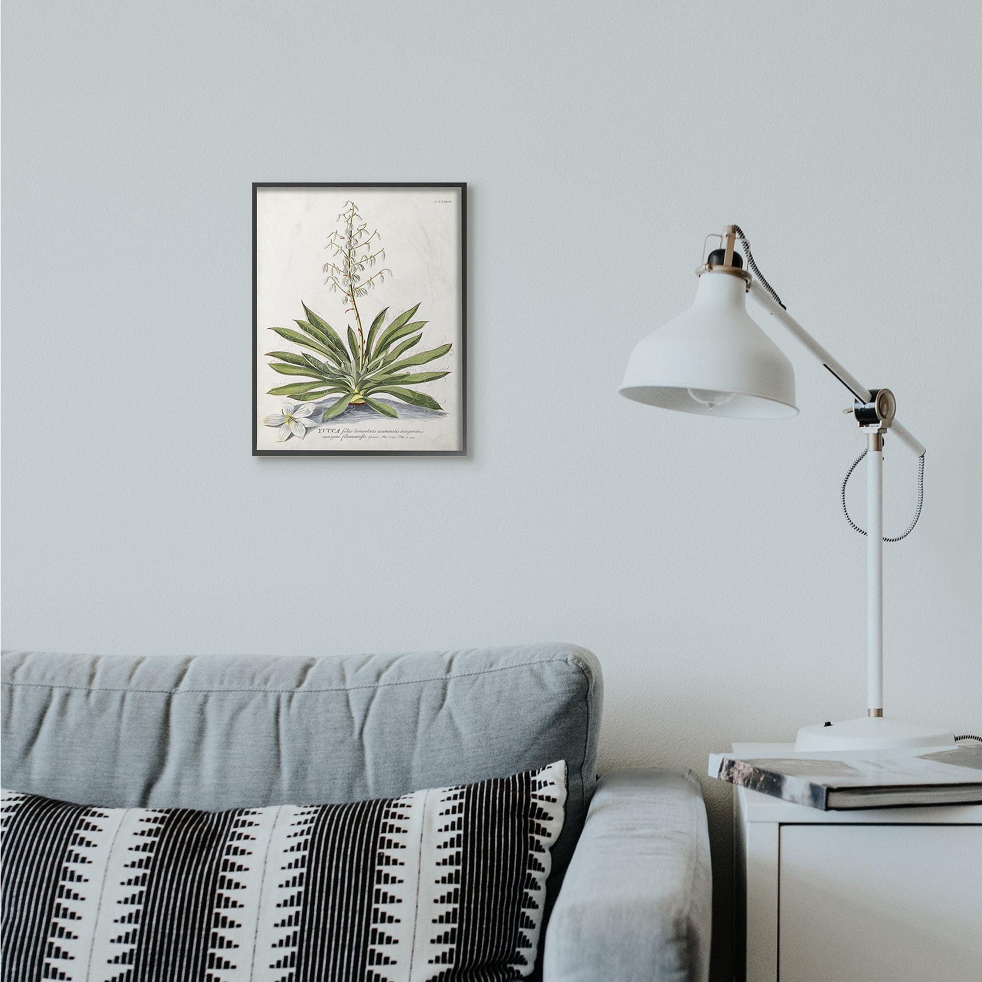 Stupell Industries Botanical Plant Illustration Ferns Vintage Design Framed Wall Art by Unknown, 11" x 14", Black Framed