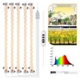 thumbnail image 2 of Indoor Dimmable Led Grow Light Phyto Lamp Timer With Power Hydroponic Kits Full Spectrum Lamp For Plants Indoor Growing Lamp, 2 of 7