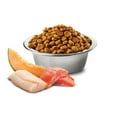 thumbnail image 2 of Farmina Salmon, Cod, and Cantaloupe Melon Adult Dog Food Medium & Maxi 5.5lbs, 2 of 8