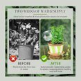 thumbnail image 6 of Self Watering Globes, Automatic Watering System for Potted Plants with Terracotta Base, for Plant Self Watering devices and Sustained Hydration for Water Plants indoor, 6 of 8