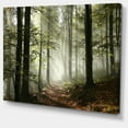 thumbnail image 2 of Designart 'Light in Dense Fall Forest with Fog ' Landscape Art Print Canvas, 2 of 3