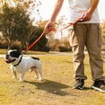 thumbnail image 5 of VIVAGLORY Dog Leash with Double Handle, Reflective Nylon Lead, Small, Orange, 4 ft, 5 of 7