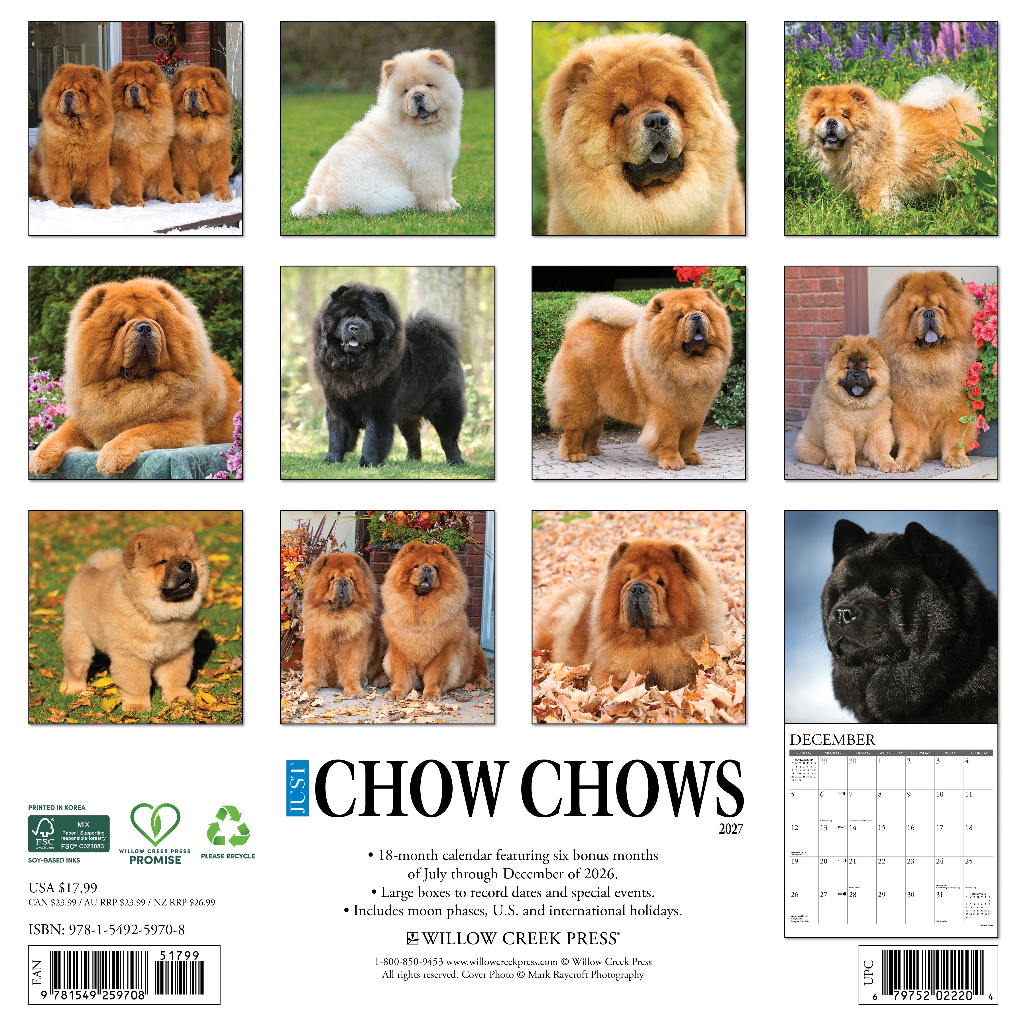 Willow Creek Press, Chow Chows 2027 Wall Calendar