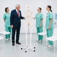 thumbnail image 4 of Costway 70.8" Life Size Human Skeleton Model Anatomical Skeleton with Nerves System, 4 of 10