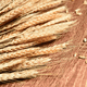 thumbnail image 4 of Ramo De Trigo Naturaleza Muerta Decoracion 150 Espigas Belug, Café, 4 of 5