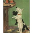 thumbnail image 2 of Unknown 12x14 White Modern Wood Framed Museum Art Print Titled - Terrier Trouble V, 2 of 4