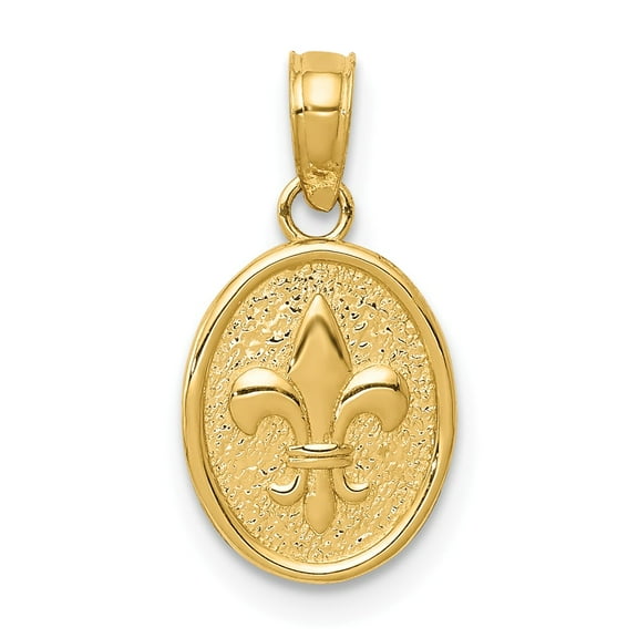 14k Yellow Gold Polished Small Fleur De Lis in Oval Pendant Charm