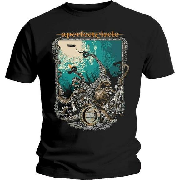 A Perfect Circle Unisex T-Shirt The Depths (Small)