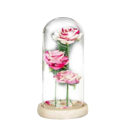 

DUAONETS Women s Valentine s Day GiFt Men s LED Light Night Light 3 Roses Clear Lamp Shade Ornament Room Decor