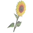 thumbnail image 1 of Vibrant Acrylic Sunflower Garden Stake Ornament for Outdoor Decoration Durable Lawn Display Sign for Parties and Events, 1 of 5