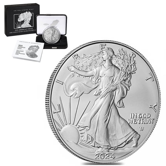 2024-W 1 oz Burnished Silver American Eagle (w/Box & COA)