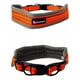 thumbnail image 3 of Collar Perros Gatos Correa Seguridad Ajustable Con Arnes, 3 of 3