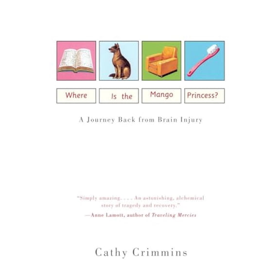 Pre-Owned Where Is the Mango Princess?: A Journey Back from Brain Injury (Paperback) 0375704426 9780375704420