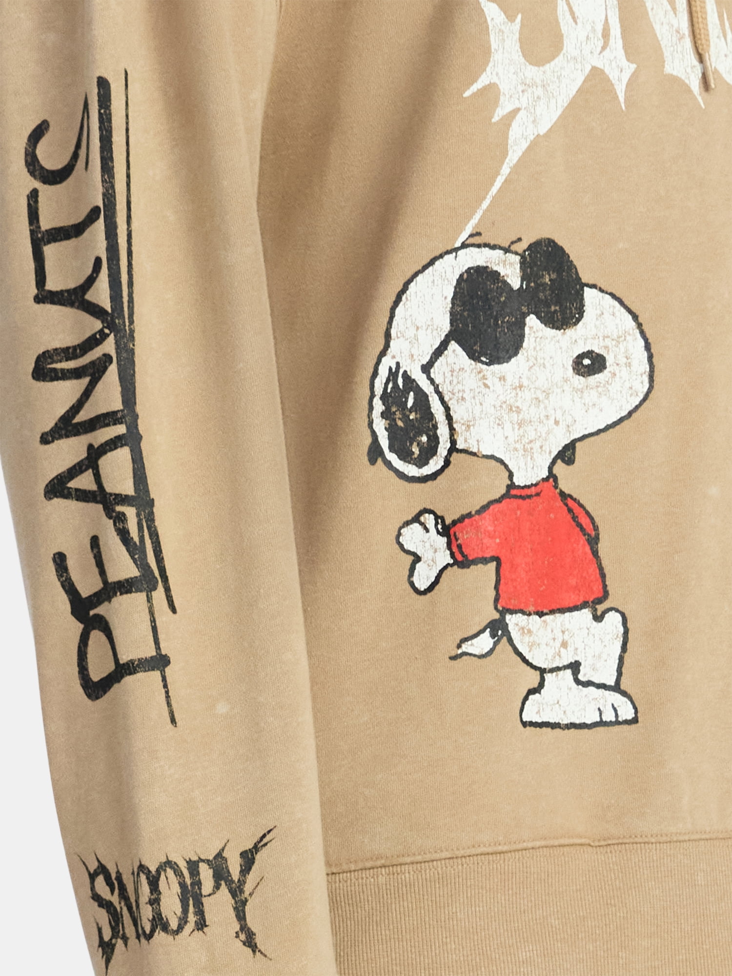 Peanuts Snoopy Men's and Big Men's Graphic Hoodie, Sizes XS-3XL