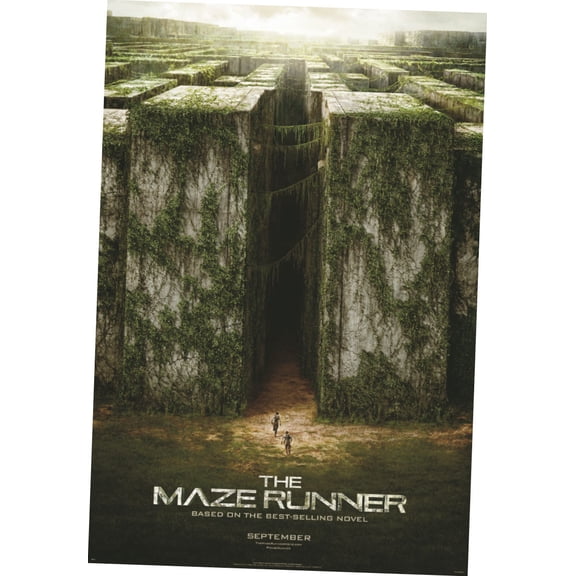 Maze Runner The Movie Poster 16x24 Poster Medium Art Poster 16x24 Unframed, Age: Adults, Rectangle Best Posters