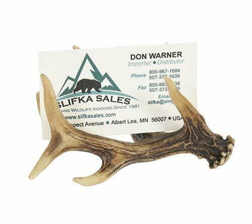 Rustic ANTLER BUSINESS CARD HOLDER, Desktop Holder, by Slifka