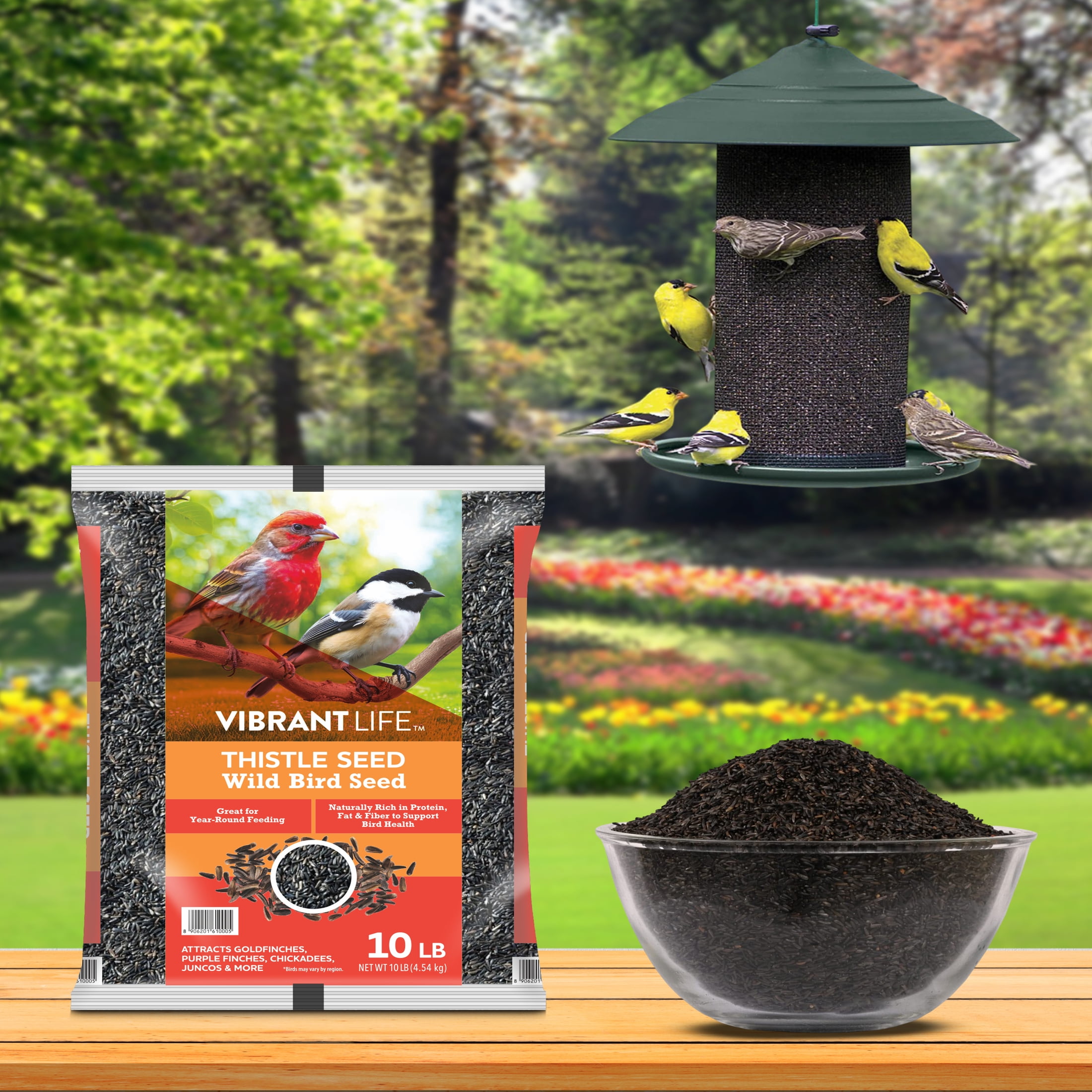 Vibrant Life Nyjer Thistle Seed for Finches and Other Wild Birds Bird Food, 10 lb Bag