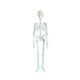 thumbnail image 1 of Juguete de Halloween con forma de calavera luminosa, esqueleto, cuerpo embrujado, 1 of 5