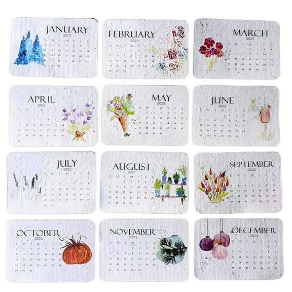 CCOCC 12Pcs Calendar 2025,Seed Paper Calendar Funny Calendar 2025,Fun Creative Decoration 2025 Wall Calendar 12 Month