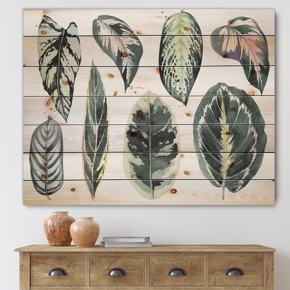 Designart 'Tropical Calathea Leaves On White' Bohemian & Eclectic Print on Natural Pine Wood