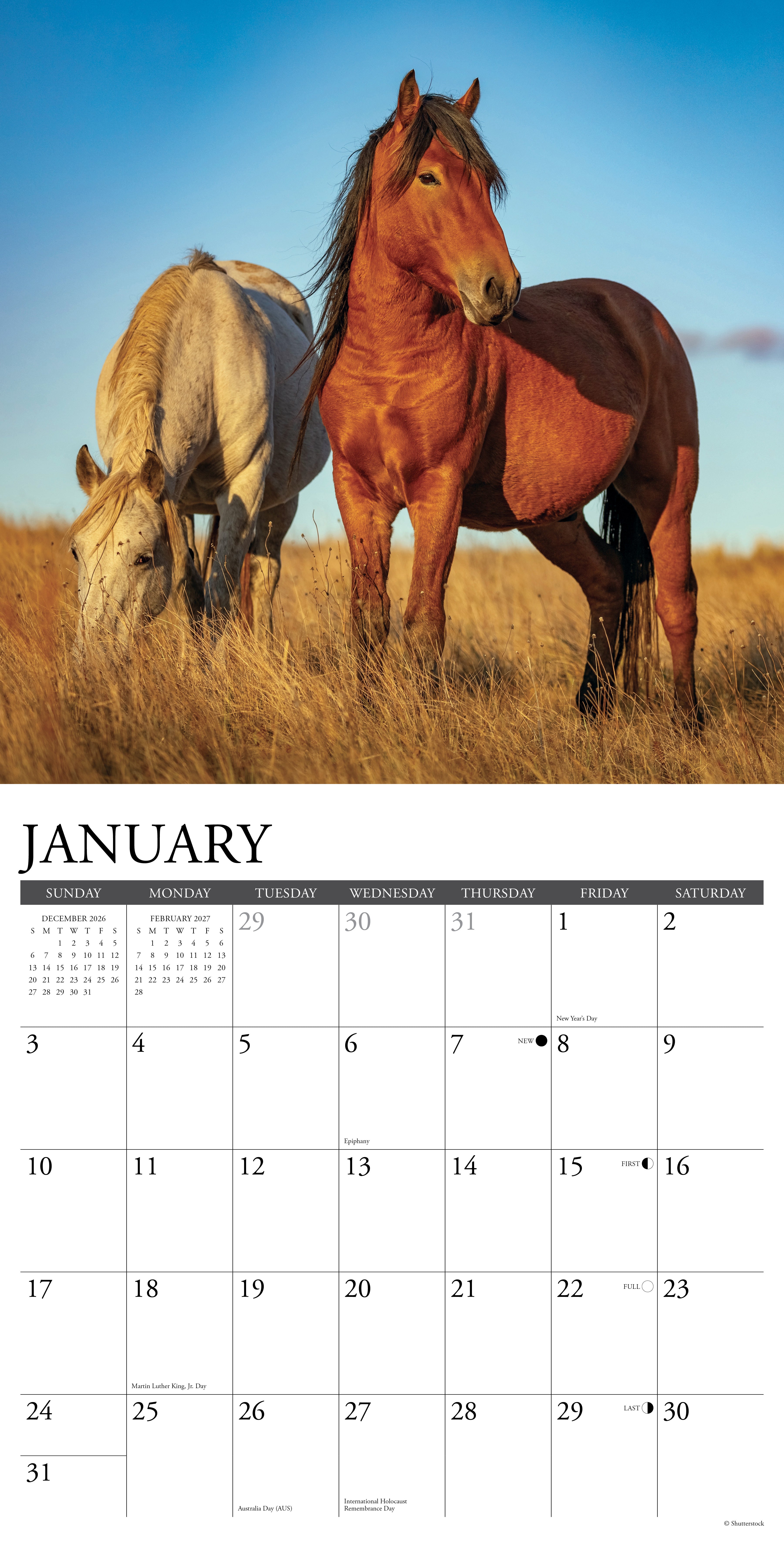 Willow Creek Press, Wild Horses 2027 Wall Calendar