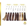 thumbnail image 2 of TINTE ALTERNATIVE CARE- color 5.37 CARAMELO TOSTADO contenido de 90g Alternative Care 5.37 CARAMELO TOSTADO, 2 of 5
