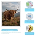 thumbnail image 3 of Diamond Art Kits for Adults, Majestic Cattle In Scenic Landscape 5D Diamond Painting Kits for Adults Beginners, DIY Full Drill Diamond Painting, Gem Art and Crafts 12x16, 3 of 7