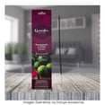 thumbnail image 4 of Incienso Ganesha Gold Aroma Equilibrio 25 Varitas, 4 of 4