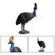 thumbnail image 3 of 1 pieza de simulación de casuario, modelo de animal salvaje, adorno decorativo para habitación, para casa, hotel., 3 of 6