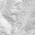 thumbnail image 4 of Parabrisas universal para coche, protector solar, antinieve, antipolvo Cubierta delgada, 4 of 8