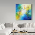 thumbnail image 3 of Trademark Fine Art 'Color Dances' Canvas Art by Aleta Pippin, 3 of 3