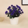 thumbnail image 1 of Xiao Hua plantas artificiales en maceta, pequeñas plantas falsas en maceta, miniplantas artificiales de escritorio para interior, granja, oficina, mesa, estante, decoración de baño (A17), 1 of 5