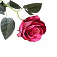 thumbnail image 2 of Gwong Decoración hogareña 1 UNID Artificial Rose Flor MiniaScape Boda Partido Inicio Oficina Bonsai Decoración Gwong 21029798, 2 of 7