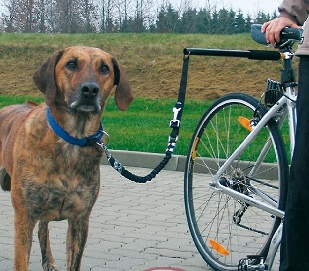 Dog bike leash walmart hotsell