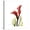 Canvas, variant on Art.com New Red Calla Lily Art Print by Albert Koetsier, 16" x 16"