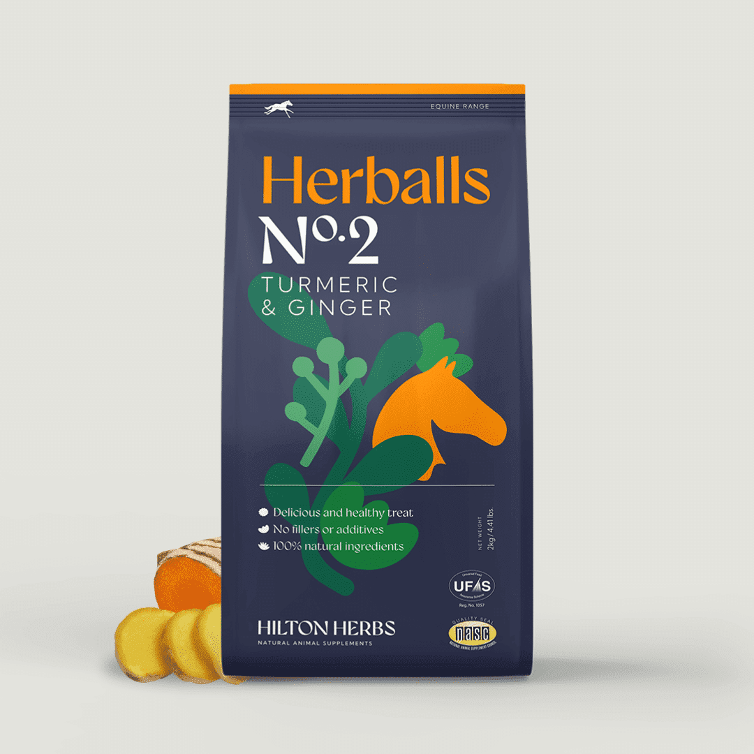 Hilton Herbs Herballs No. 2 Turmeric & Ginger All-Natural Horse Treats, 2 kg