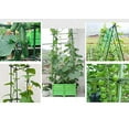 thumbnail image 5 of Ecostake Sturdy Steel Garden Stakes 5-Ft Plastic Coated Plant Stakes, 10Packs for Climbing Plants, 5 of 7