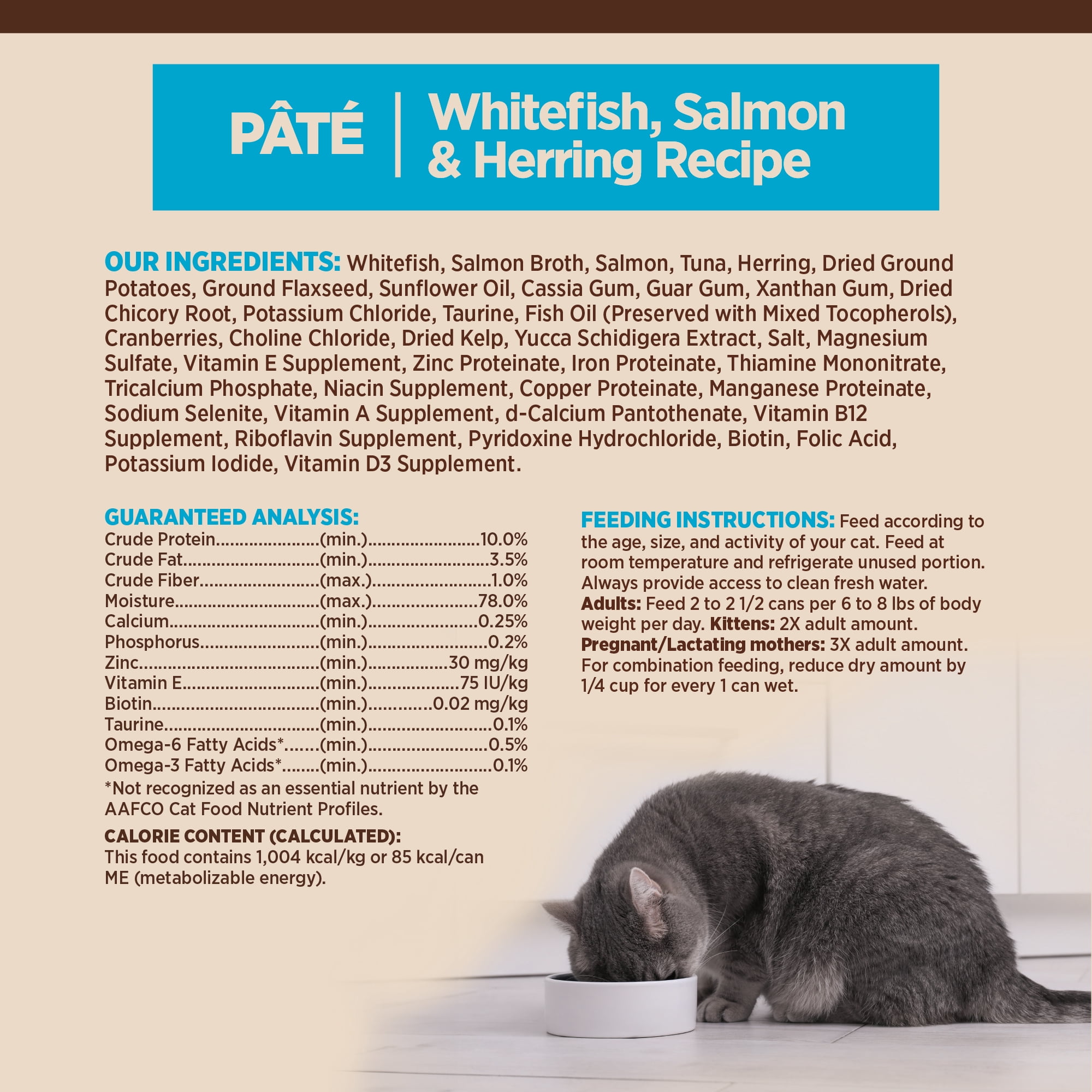 Wellness CORE Pate Adult Canned Wet Cat Food, Natural, Protein Rich, Grain Free, Whitefish, Salmon, and Herring Recipe, 3 oz, Pack of 12 Cans